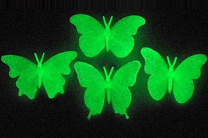 Fluorescentní motýlci na zeď a poštovné ZDARMA!