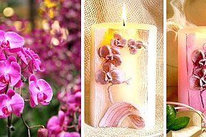 Svíčka orchidej oživí Váš interiér a zpříjemní atmosféru domova nebo jako slavnostní dekorace.