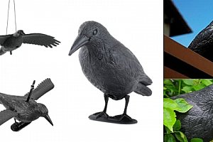 Maketa havrana plastová vrána na plašéní špačků, holubů a další ptáky , havran