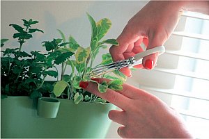 Nůžky na bylinky Herbs Cut!