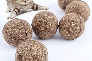 Catnipový míček pro kočky