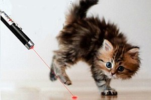 Laserová hračka pro kočky - 2 v 1 a poštovné ZDARMA!