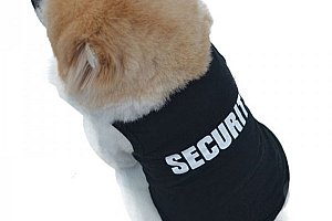 Security uniforma pro pejsky a poštovné ZDARMA!