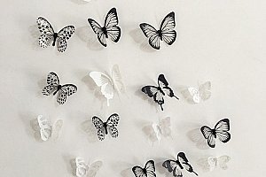 3D nálepky motýlků na zeď, lednici nebo nábytek a poštovné ZDARMA!