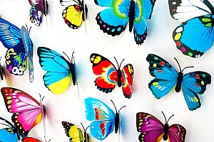 3D motýlci na zeď - ozdobte své zdi!