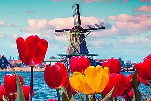 3denní zájezd pro 1 za květinami do Keukenhofu a Amsterdamu