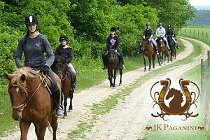 Jízda na koni, teorie péče a manipulace s koňmi - Praha a okolí