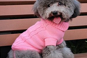 Pletený psí obleček - 4 barvy a poštovné ZDARMA!