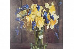 Obraz na stěnu - Modré hyacinty a žluté narcisy