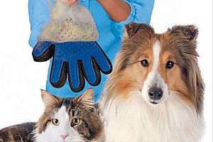 Silikonová rukavice na psí nebo kočičí srst a poštovné ZDARMA!