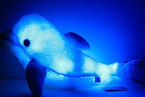 Svítící LED polštář - Delfínek - modrá barva a poštovné ZDARMA s dodáním do 2 dnů!