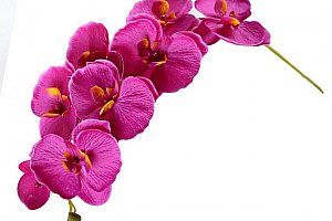 Umělá motýlí orchidej - 6 barev a poštovné ZDARMA!