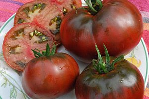 Semena speciální odrůdy rajčete černý princ - 100 ks a poštovné ZDARMA!