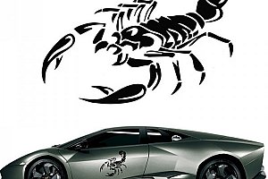 Realistická samolepka na auto s motivem škorpiona a poštovné ZDARMA!