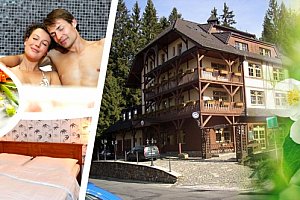 Wellness pobyt na Šumavě v hotelu Modrava, polopenze, koupel ve whirpool, půjčení kol či běžek.