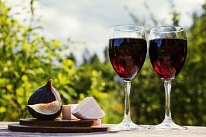 Vinařský pobyt u Znojma ve Vinařství Lintner s degustací a bohatým občerstvením