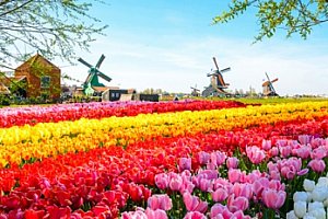 Holandsko: Keukenhof, Zaanse Schans a Amsterdam na 3 dny