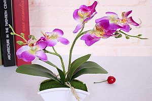 Umělá motýlí orchidej v květináči - 4 barvy a poštovné ZDARMA!
