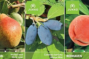 Poukaz na ovocné stromky a okrasné dřeviny v Tovačově a Ostrožské Nové Vsi