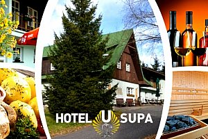 Ubytování pro dva v Hotelu U Supa v Harrachově s výborným jídlem a all inclusive na nápoje.