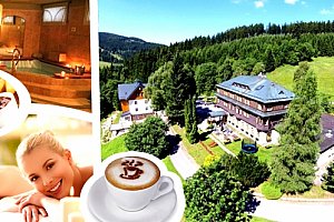 Wellness v 3*Alpském Hotelu s polopenzí, wellness - whirlpool, sauna, masáže, espresso.