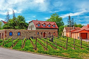 Jižní Morava pro milovníky vín v rodinném vinařství u Znojma včetně degustace s neomezenou konzumací vína + snídaně