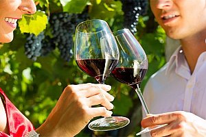 3–5denní vinařský pobyt pro 2 s degustací ve Vinném sklepě Mikulčice na Moravě