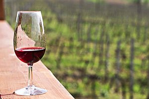 2–3denní pobyt s degustací a neomezenou konzumací vína pro 2 ve Vinařství Lintner u Znojma