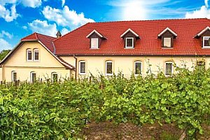 Znojmo pro milovníky vína: Hotel Schaller se snídaní a vstupenkami na Vinobus