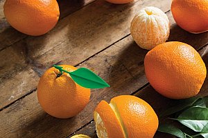 Loupač pomerančů Peel