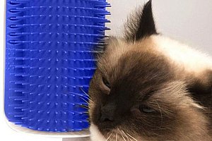 Masážní kartáč pro kočky
