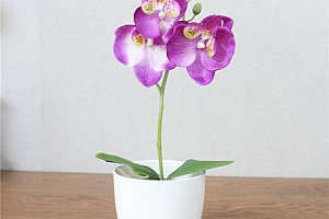 Umělá orchidej v květináči - 6 barev a poštovné ZDARMA!