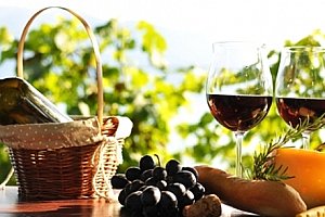 3denní vinařský pobyt pro dva možnost neomezené konzumace vína nebo burčáku s rautem.