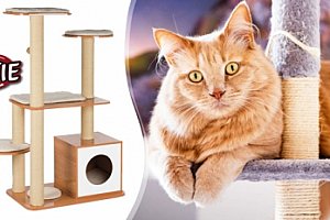 Škrabadlo Trixie Laia wooden pro kočky