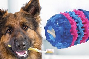 Dog Fantasy Dental hračka pro psy
