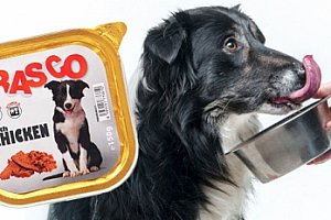10× 150g paštika pro psy Rasco s kuřecím masem