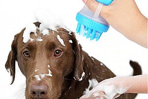 Kartáč na psy se zásobníkem na šampon