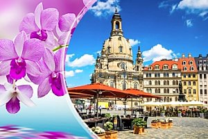 Výlet do Drážďan: jarní veletrh, výstava orchidejí, prohlídka města