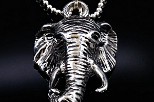 Ziskoun řetízek s přívěskem slona z chirugické oceli PN000047
