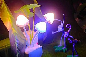 Noční LED lampička Mushrooms!