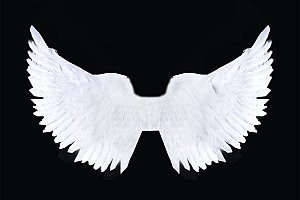 Andělská třpytivá křídla
