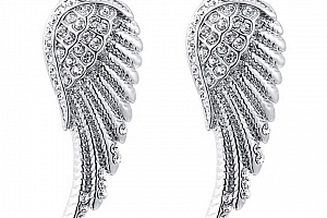 Náušnice Andělská křídla ve stříbrném provedení z chirurgické oceli a zirkony SE000049