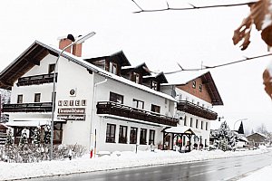 Hotel Lesní dům v Bavorském lese se saunou blízko lyžařských areálů