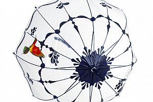 Transparentní deštník s kolibříkem