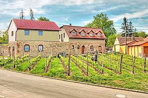 Jižní Morava v rodinném vinařství se snídaní, degustací i s neomezenou konzumací vína