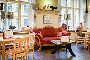 20% sleva na kávu a dort v první kočičí kavárně v Praze na Žižkově