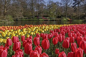 Návštěva Bruselu, Amsterdamu a květinového parku Keukenhof s ubytováním v hotelu