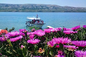 Dovolená v Chorvatsku na ostrově Pag v přímořském městečku Metajna s polopenzí