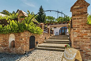 Rodinné Vinařství Krýsa na jižní Moravě s polopenzí a prohlídkou vinohradu
