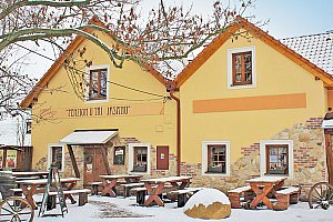 Jižní Morava v penzionu ve vinařské obci Nový Šaldorf u Znojma s privátním wellness a snídaní nebo polopenzí